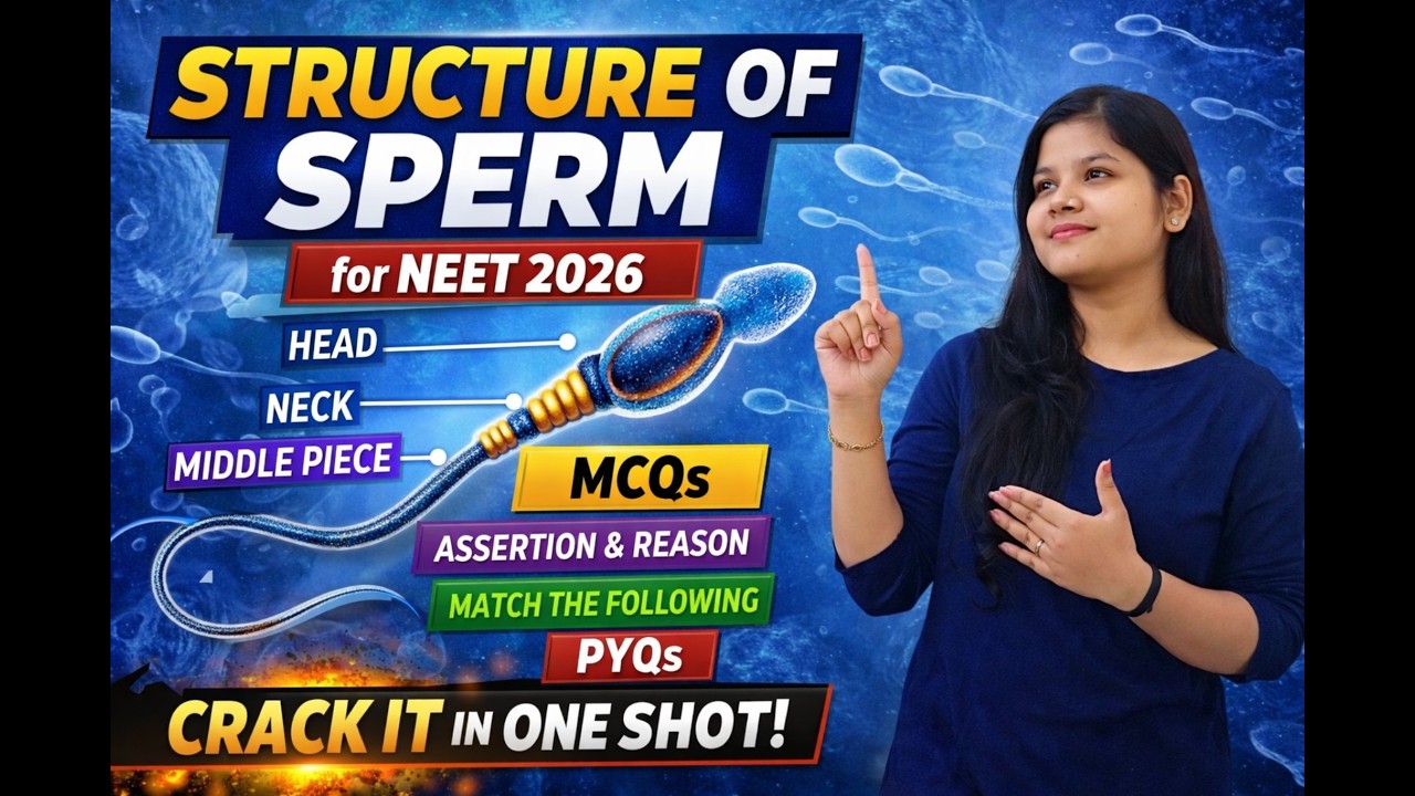 Sperm Structure Complete Revision 💯 | PYQ + MCQ + Assertion Reason | NEET 2026 🚨| 🙅‍♀️ Don't skip