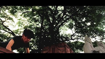 WENPOD Stabilizer systems for GoPro Cellphones Profesional cameras