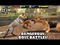 Ultimate Fox Simulator - Dangerous Boss Battles - Android/iOS - Gameplay Part 4