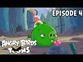 Angry Birds Toons | Another Birthday - S1 Ep4