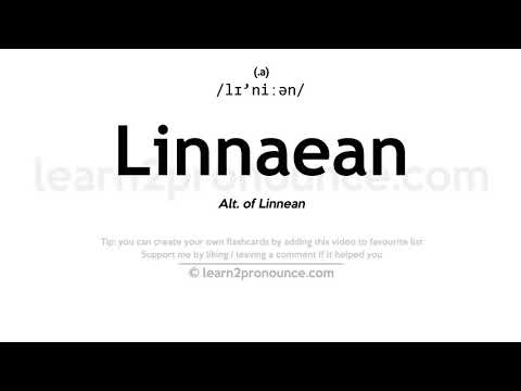 Pronunciation of Linnaean | Definition of Linnaean