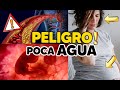🚨💧 ¿Qué podría pasar si NO TOMAMOS AGUA Suficiente en el Embarazo?