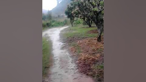 Thiên tai tại lục ngạn