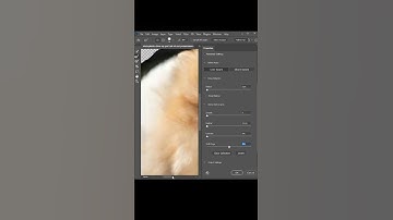 How To Easily Remove Background From Furr In Photoshop #shorts