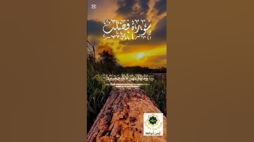 سورة فصلت: #اكسبلور #حالات_واتس #القرآن_الكريم #سورة_فصلت