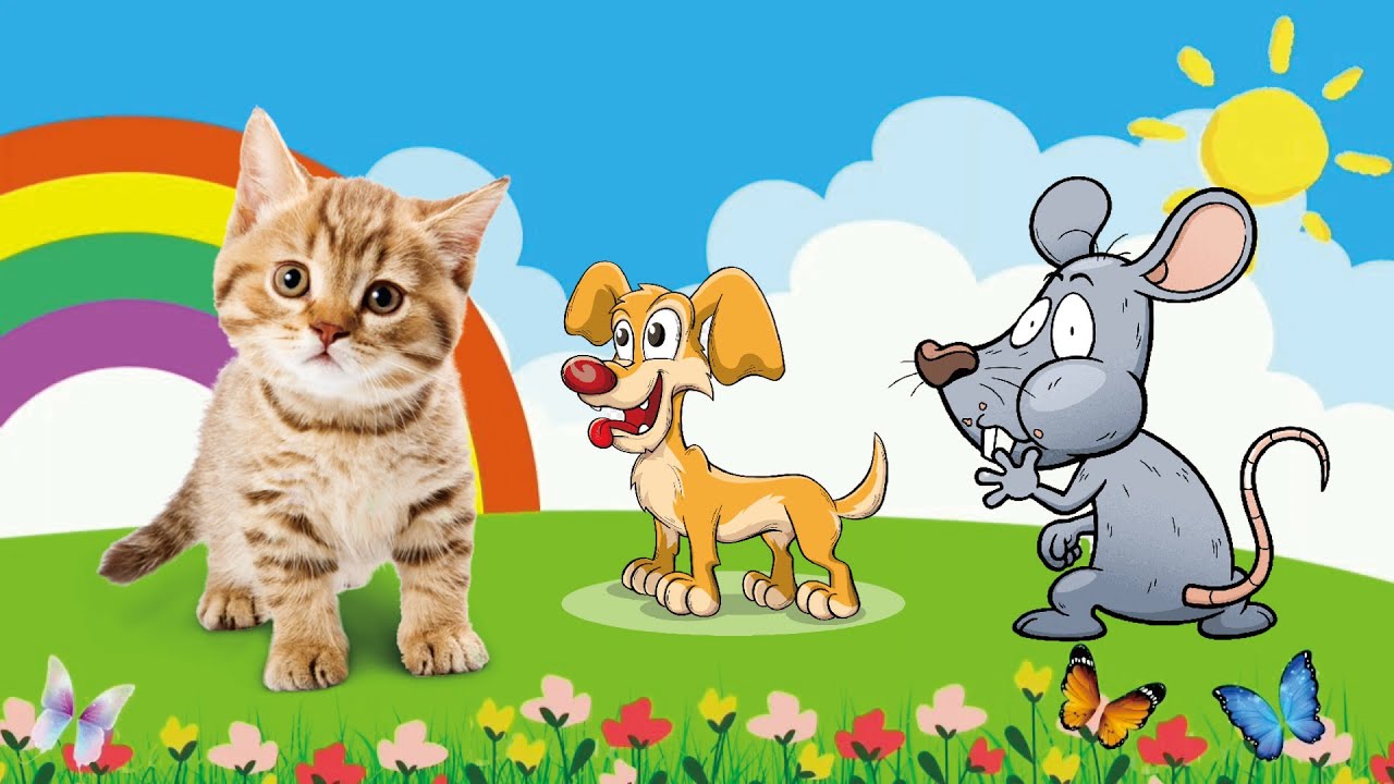 Farm Animal Sounds Cow, Buffalo, Chicken, Pig, Duck, Cat, Dog, Monkey, Hippopotamus – Animal Video