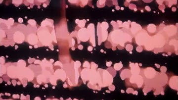 Multivitamines - boutique