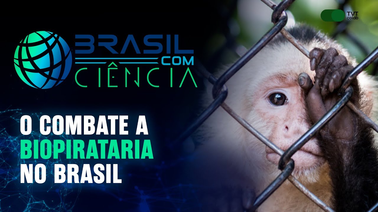 AMIT tenta preservar amazônia e combater a biopirataria de riquezas do ...