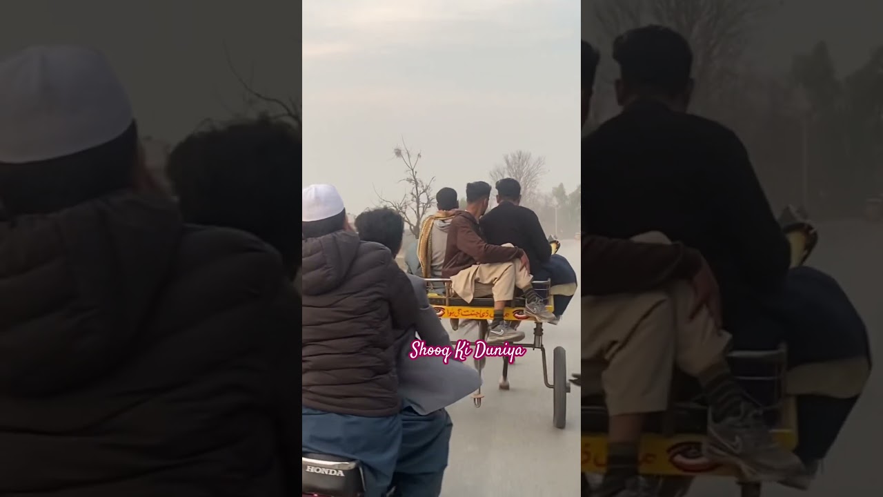 Balla Sultan Ghora Shooq Nawab Loga Da All Pakistan tanga horse racing official 