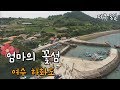 [다큐3일]엄마의 꽃섬, 여수 하화도 by KBS