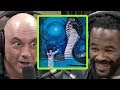 Joe Rogan and Rashad Evans Compare DMT Experiences