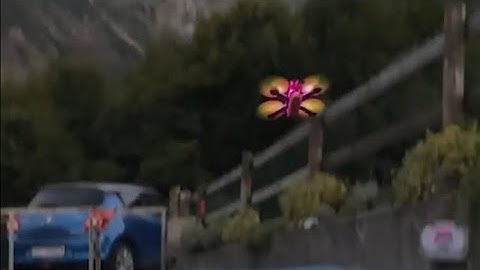 FPV Drone Racing Training | TinyTrainer at the end of the day