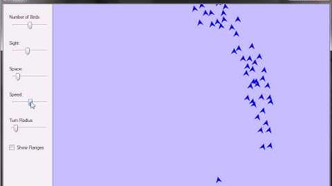 Agent Based Boids Simulation