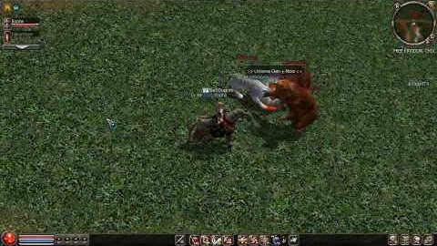 Metin2 US - Random Fun 34