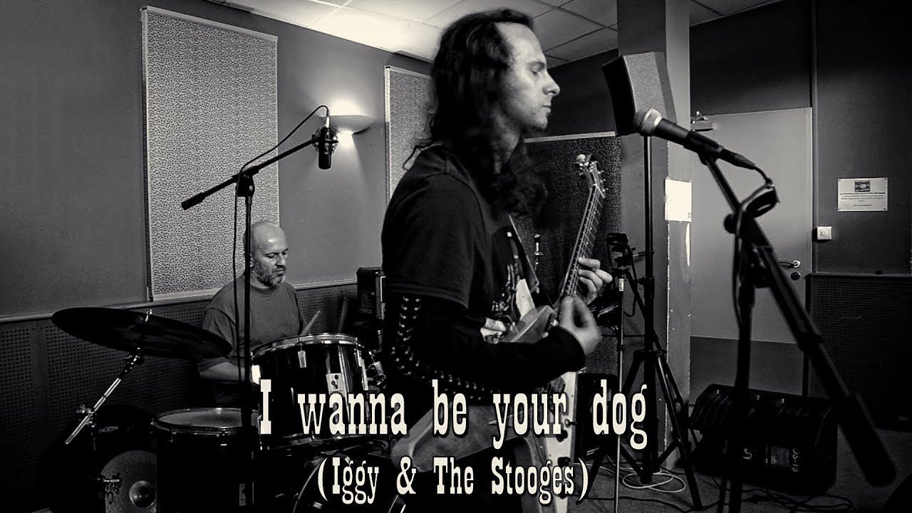 I wanna be your dog ( Iggy and Stooges cover