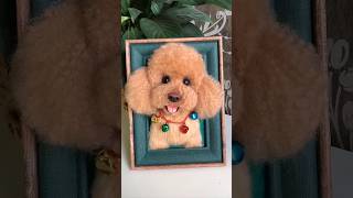 We Brought Her Back Wool Needle Felting Pet Portraits petloss handmade shorts