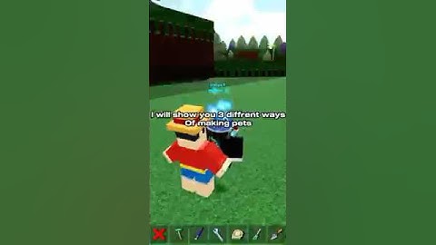 Tutorial on how to make pets in build a boat for treasure 