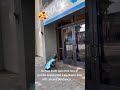 Como Esperanto asu dueno alas after del banco
