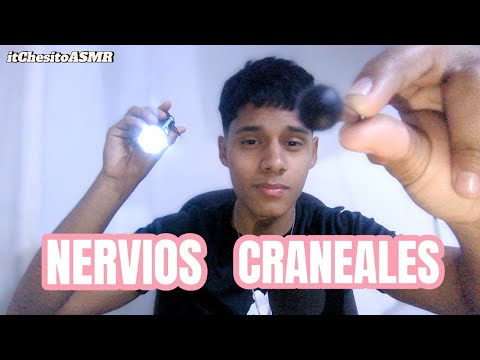 ASMR examen de nervios craneales (super relajante) para gente que no puede dormir