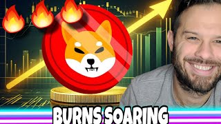 Shiba Inu Coin | SHIB Burns Are Finally Returning! Here's How Many SHIB Were Just Burned!