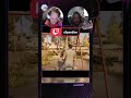 We were just swinging #nerdnexus #twitch #funny #awayout