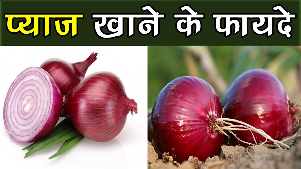 कच्चे प्याज के ये फायदे जानकर आप दंग रह जाएंगे Benefits of Onion in Hindi YouTube