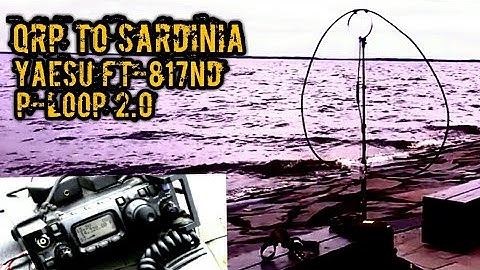 Chameleon P-LOOP 2.0