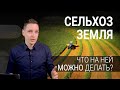 Земли сельхозназначения. Что на них можно делать?