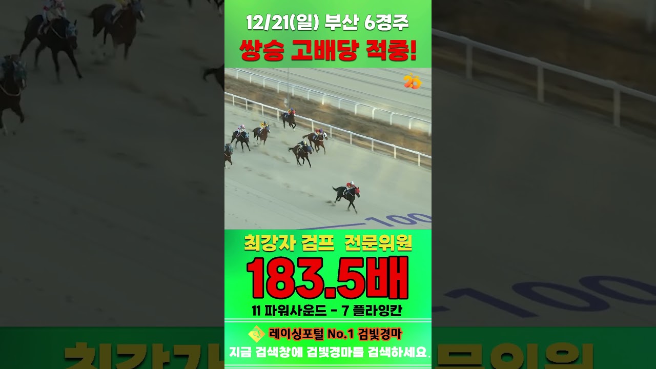 [부산 경마] 12월 21일 일요 6경주 최강자 검프 전문위원 쌍승 고배당 적중 #경마 #horse #한국마사회 #automobile #하이라이트 #horseracing