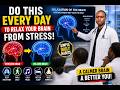 Doctor Explains: Simple Daily Habits That Relax the Brain