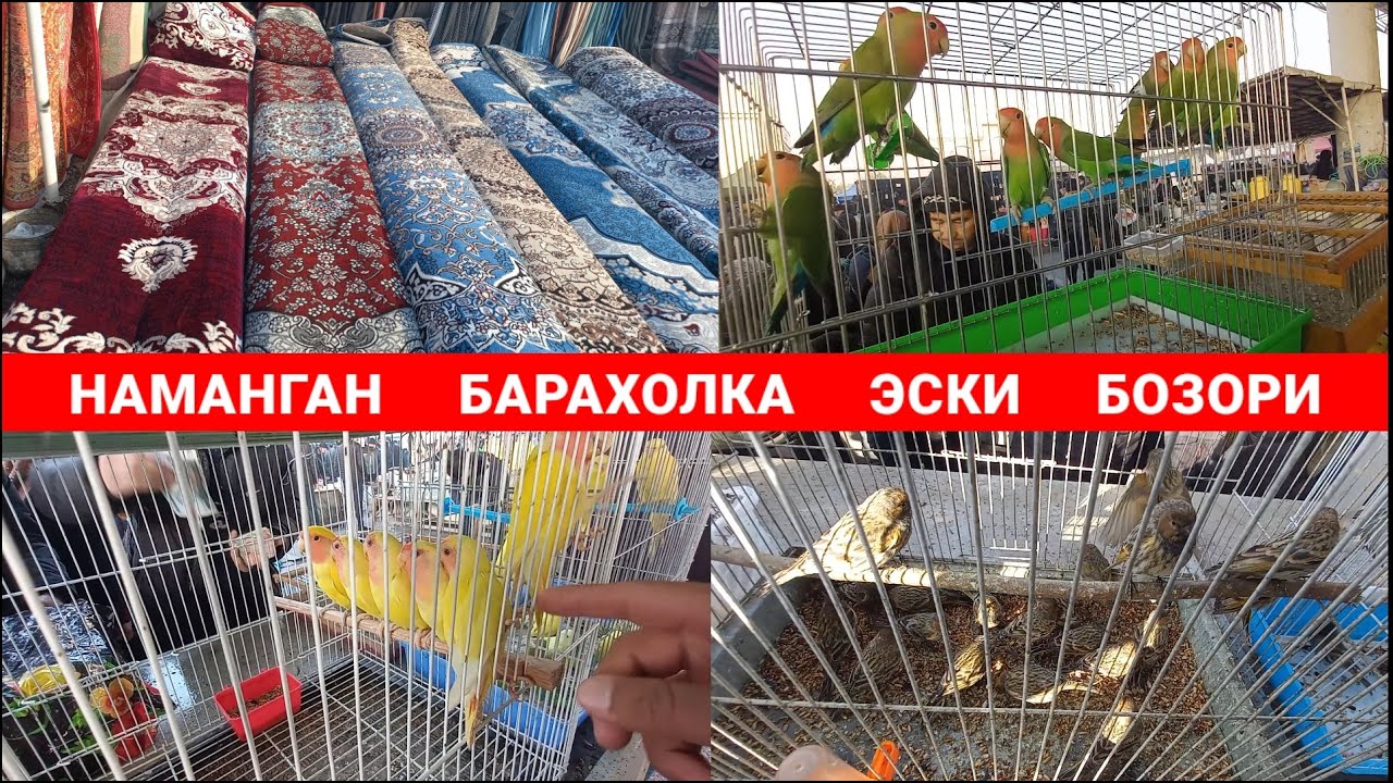 НАМАНГАН ЯШИЛ ДЕХКОН БОЗОРИ: | ЭСКИ БОЗОР | ГИЛАМ ПОЛОС ВА КУШЛАР НАРХИ. #наманган #эски_бозор #2024