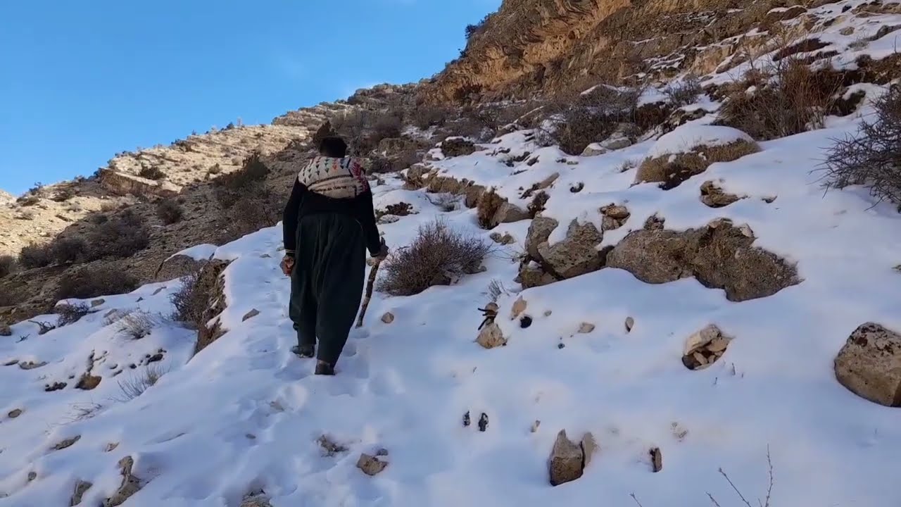 Tourism in the icy winter and cooking in nature