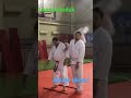 Wonderful aikido ukemi