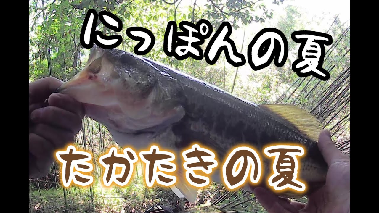 高滝湖 １１月 晩秋の高滝湖 大減水 濁り 釣れんのか おい Youtube