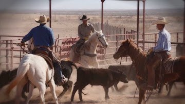 2012 AQHA/Pfizer Best Remuda Award Winner - Singleton Ranches