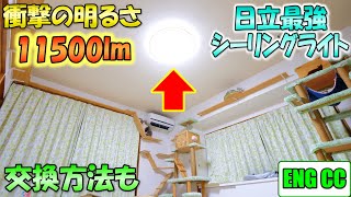 猫部屋に日立最強のLEDシーリングライト【LEC-AH2010PH】を取り付けたら想像を絶する衝撃の明るさに！ひろびろ光の効果と交換方法の解説も！