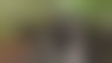 1/8/2021 Finally Flower Friday and got the first Scrog Net Up.  Indoor Cannabis Grow Update