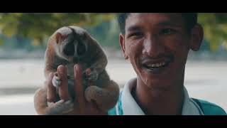 MASHUPS MASHUPS DJ SNAKE FEAT JUSTIN BIEBER   LET ME LOVE YOU CHILLSTEP SPEEDCORE HARDBAG PSYPROG JO