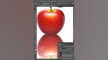 Photoshop for Beginners | How To Create A Reflection