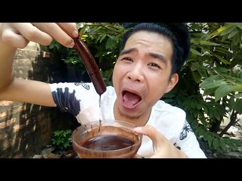 Video: Chấm Bi Cam