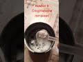 Бета-аланин стал твёрдый! Что делать?