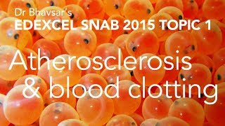 Edexcel (SNAB) A level biology: atherosclerosis and blood clotting (topic 1)