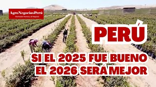 Fue Un 2025 Bueno...y El 2026 Será Mucho Mejor Para El Perú