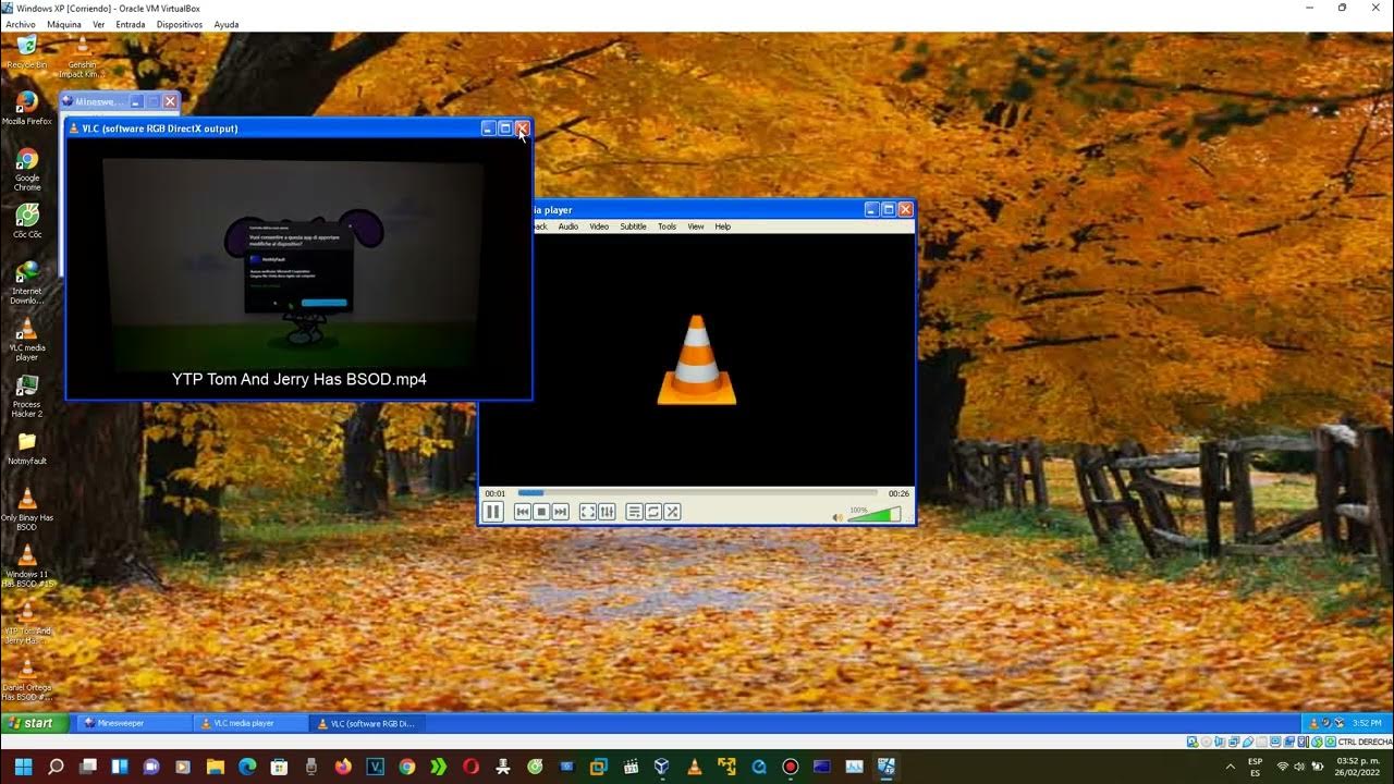Windows XP BSOD Compilation VM 14 YouTube