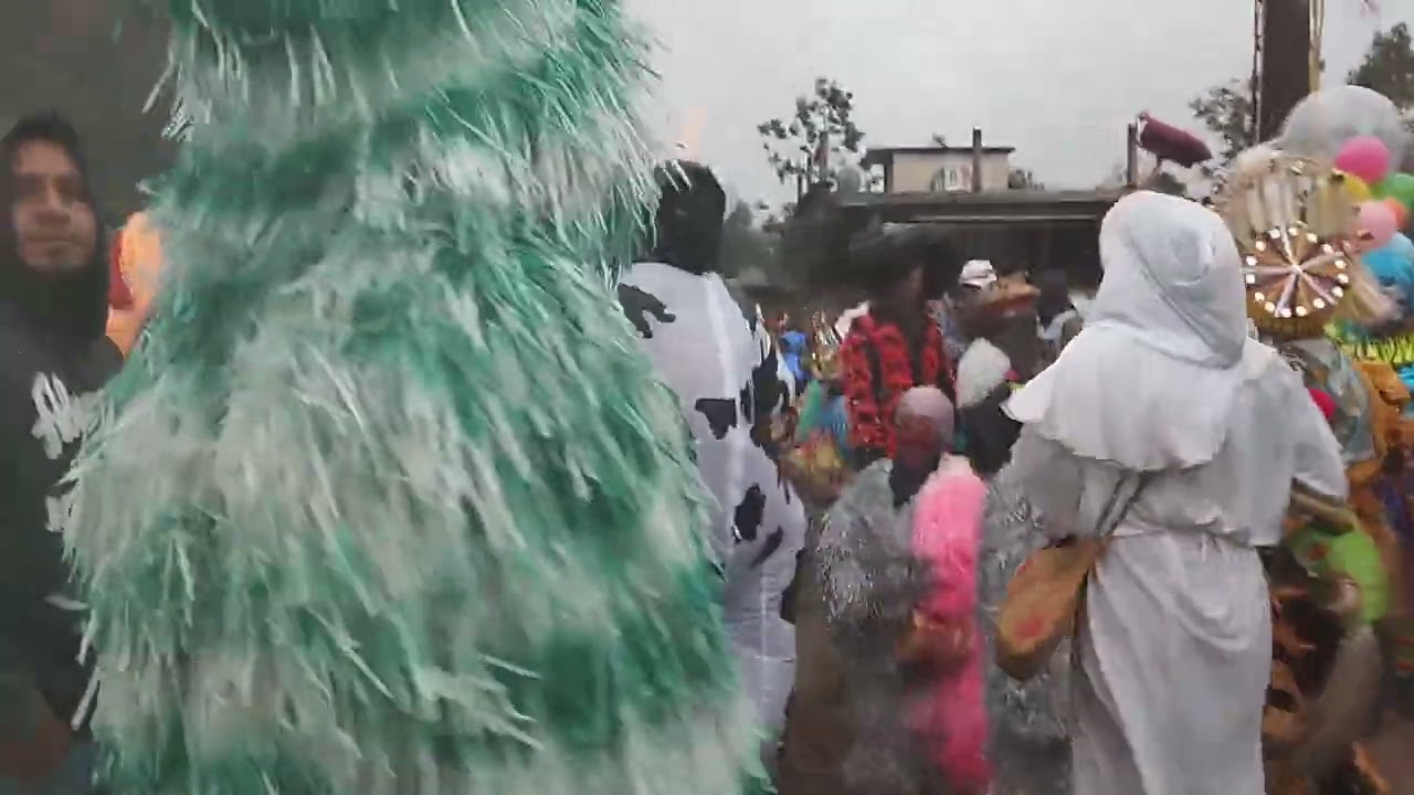 carnaval Pie del Cerro 2024 San Bartolo Tutotepec