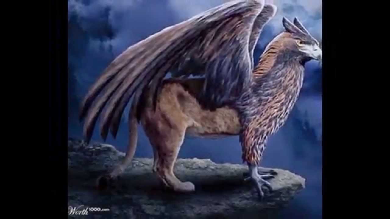 Грифон Птица Фото