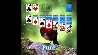 Time to Play Classic Solitaire 1080x1080 bird screenshot 4