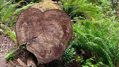 PNW Fam Trip - 2020