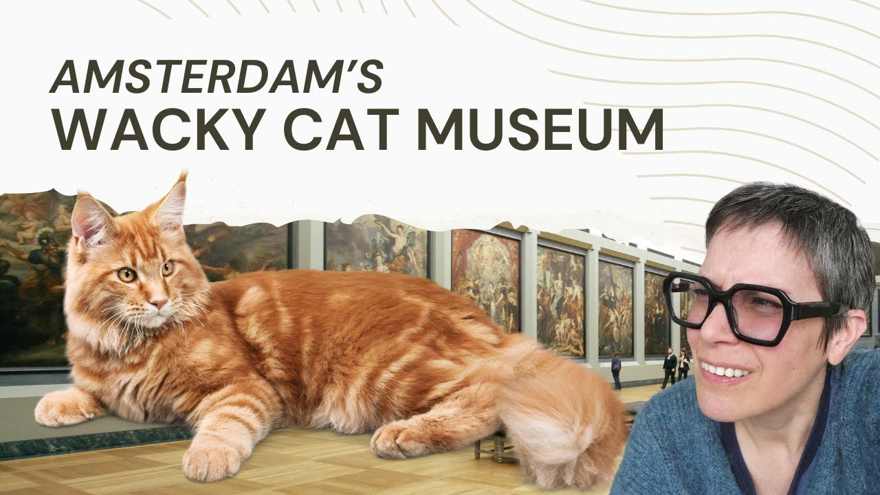 Exclusive Tour of Amsterdam's Quirky Cat Art Museum