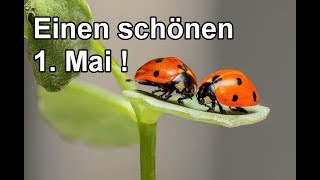 Grüße zum 1. Mai - Ich wünsche dir einen wunderschönen Start in den Mai ! / Feiertag Gruß screenshot 3